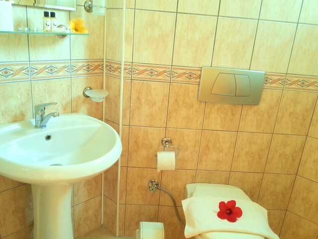 фото Summer Rose  изображение №2