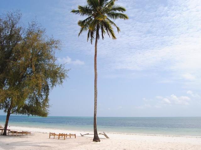 фото Tropicana Nautilus изображение №14