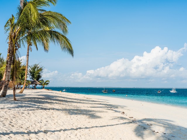 фотографии Tropicana Nautilus изображение №4