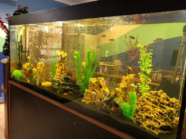 фотографии отеля Медовая (Medovaya) изображение №19