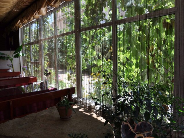 фотографии Лео Гранд (ex. У Моря) изображение №4