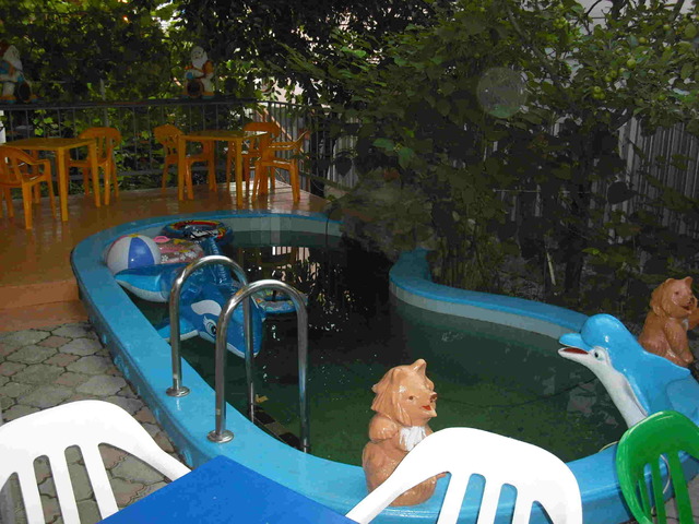 фото Морская Звезда (Morskaya Zvezda) изображение №14