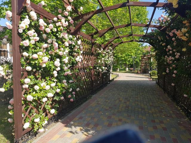 фото отеля Платан Резорт (Platan Rezort) изображение №25