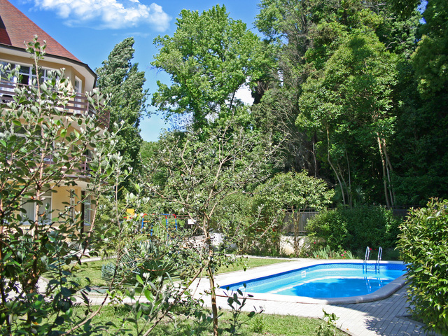 фото Старая Хоста (Old Hosta) изображение №22