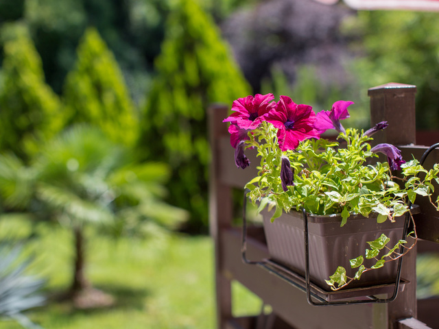 фотографии отеля Старая Хоста (Old Hosta) изображение №15
