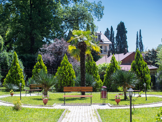 фото Старая Хоста (Old Hosta) изображение №6