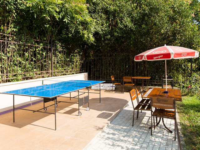 фотографии Старая Хоста (Old Hosta) изображение №4