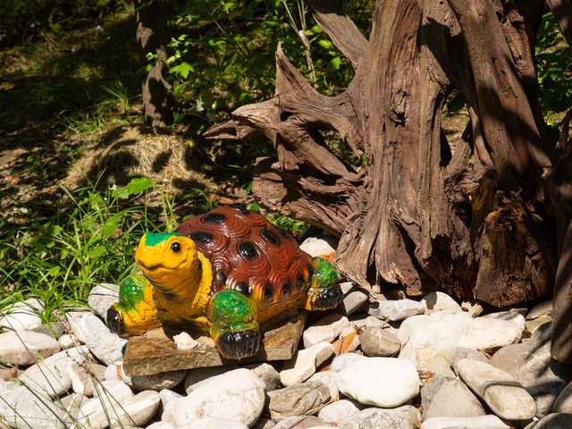 фотографии отеля Ателика Сокол (Atelika Sokol) изображение №55