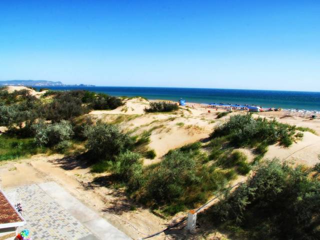 фото Селена (Selena) изображение №34