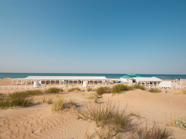 фото Селена (Selena) изображение №18