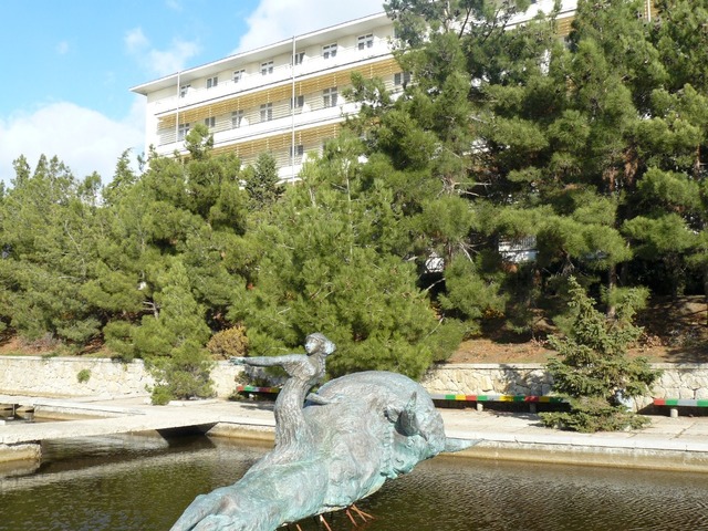 фото ТОК Судак (TOK Sudak) изображение №18