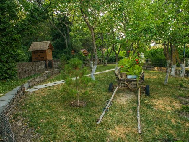 фотографии ТОК Судак (TOK Sudak) изображение №8