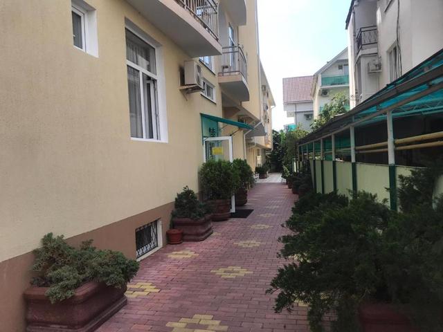 фотографии Чайка (Chayka) изображение №16