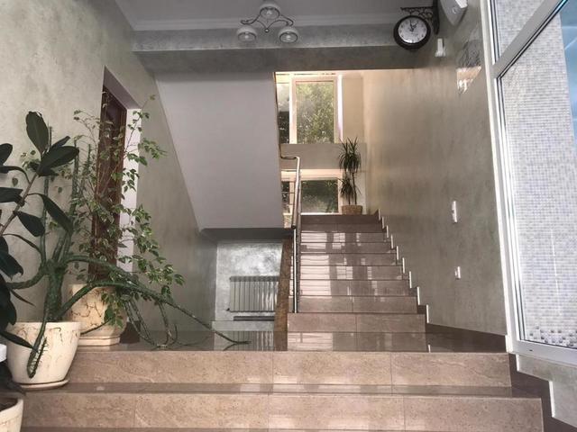 фото Чайка (Chayka) изображение №14