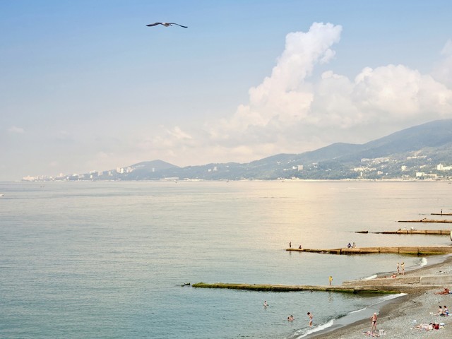 фотографии Чайка (Chayka) изображение №4