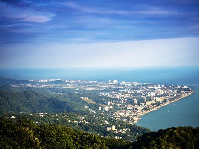 фото Чайка (Chayka) изображение №2