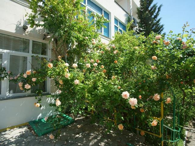 фото отеля Южный Полюс (ех. Прибрежный) изображение №25