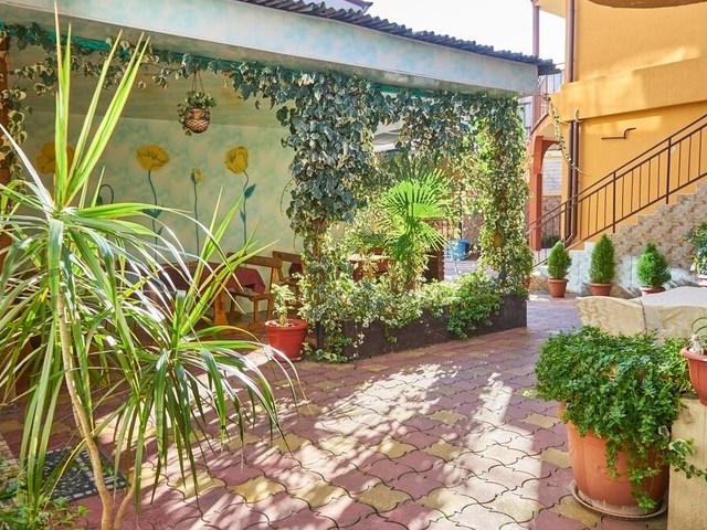 фото Дом С Дельфинами (Dolphins House) изображение №14