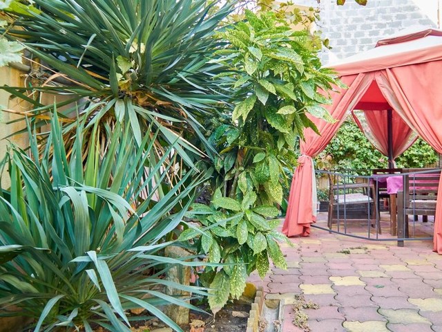 фото отеля Дом С Дельфинами (Dolphins House) изображение №13