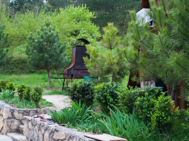 фото Алимова балка (Alimova balka) изображение №34