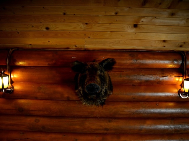 фотографии отеля Алимова балка (Alimova balka) изображение №11