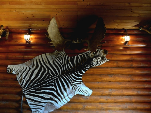 фотографии Алимова балка (Alimova balka) изображение №8