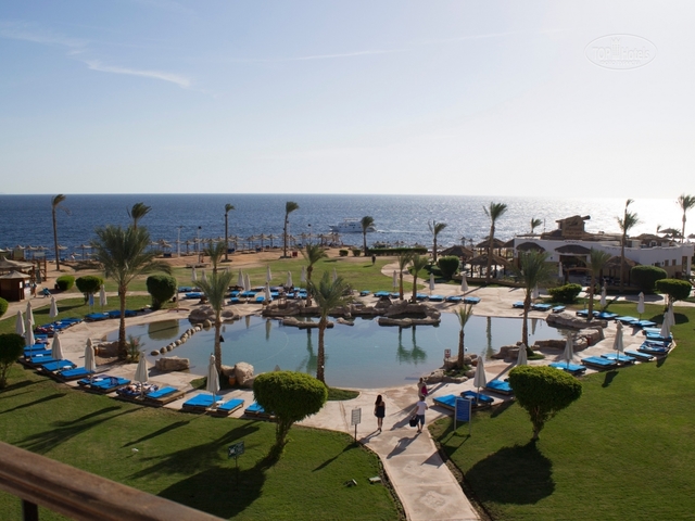 фотографии отеля Otium Family Amphoras Beach Resort (ex. Shores Amphoras Resort; Otium Hotel Amphoras Sharm) изображение №3