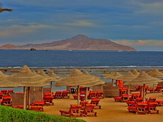 фотографии Charmillion Gardens Aqua Park (ex. Sea Gardens) изображение №52