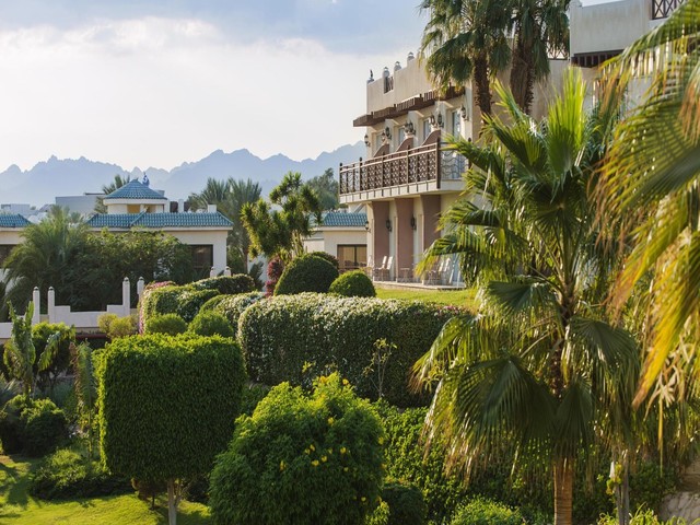 фото отеля Concorde El Salam Front Area By Royal Tulip изображение №101