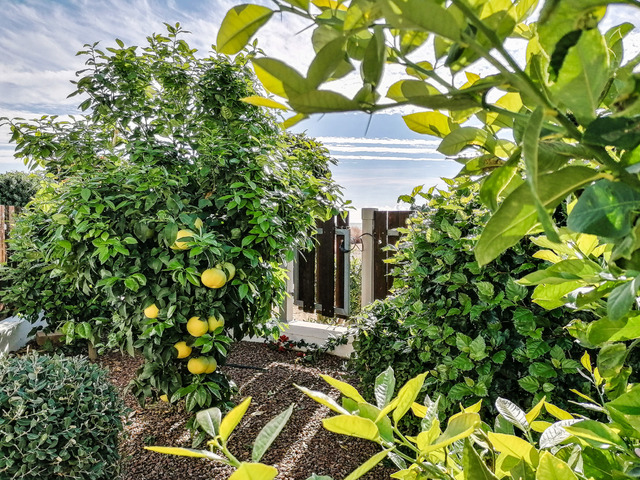 фото Atlantis Gardens изображение №22