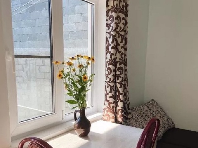 фото Кипарис (Kiparis) изображение №10