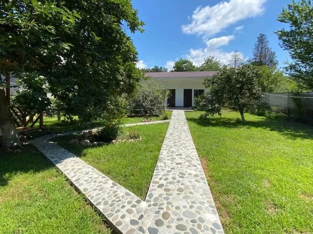 фото отеля Кипарис (Kiparis) изображение №1