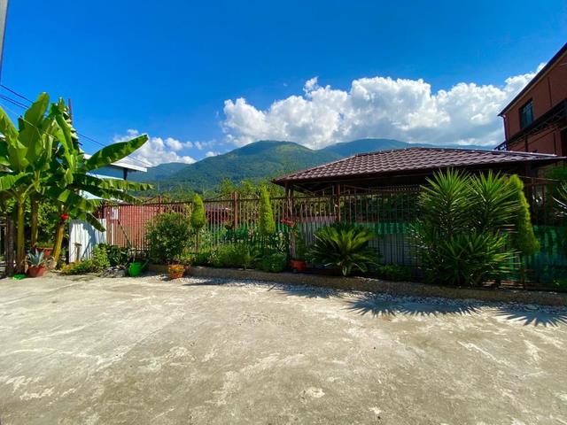 фото отеля Анжелика (Anzhelika) изображение №17