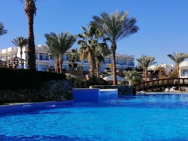 фотографии Queen Sharm Resort изображение №28