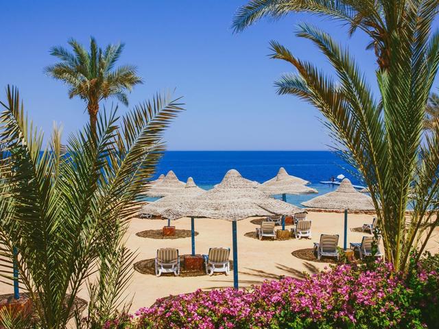 фотографии Queen Sharm Resort изображение №8