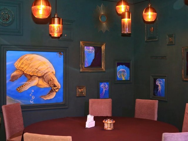 фотографии отеля Dolphin Planet (Долфин Планет) изображение №87