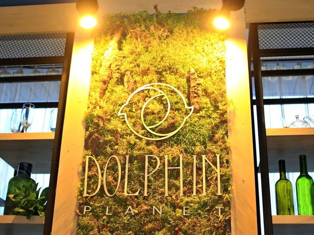 фотографии отеля Dolphin Planet (Долфин Планет) изображение №83
