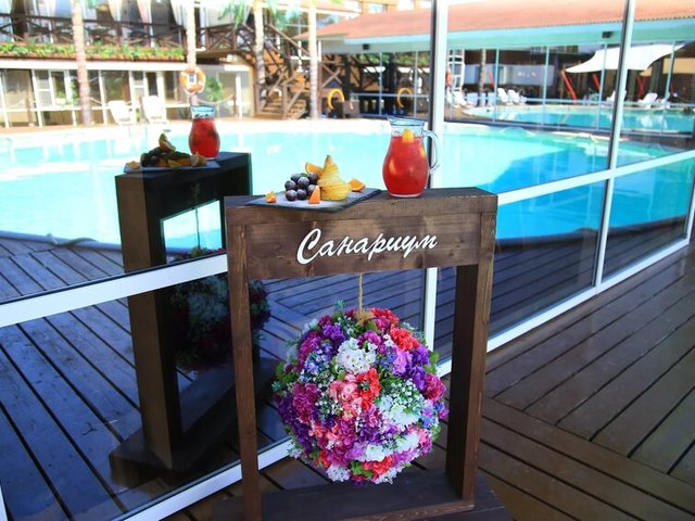 фотографии отеля Dolphin Planet (Долфин Планет) изображение №59