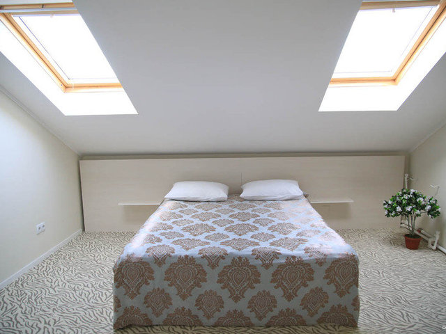 фотографии Dolphin Planet (Долфин Планет) изображение №32