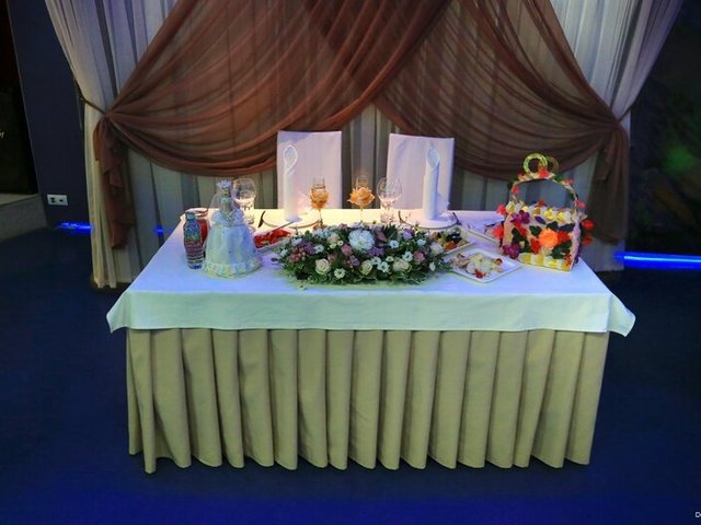 фотографии Dolphin Planet (Долфин Планет) изображение №20