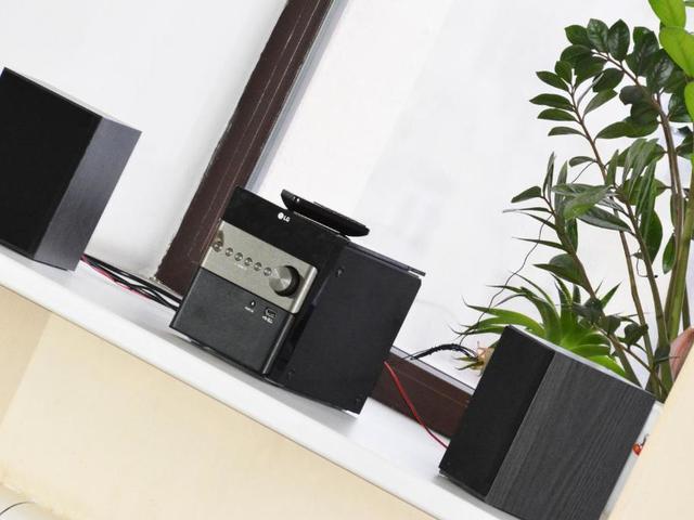 фото Пушкин (Pushkin) изображение №22