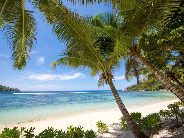 фото отеля Kempinski Seychelles Resort изображение №85