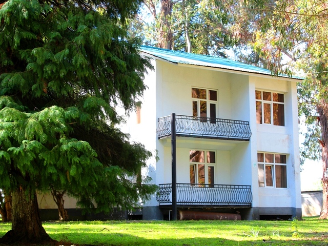 Эвкалиптовая Роща (Evkaliptovaya Roshcha)