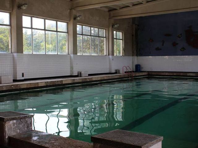 фотографии Питиус (Pitius) изображение №32