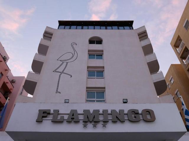 фотографии отеля Flamingo Beach изображение №3