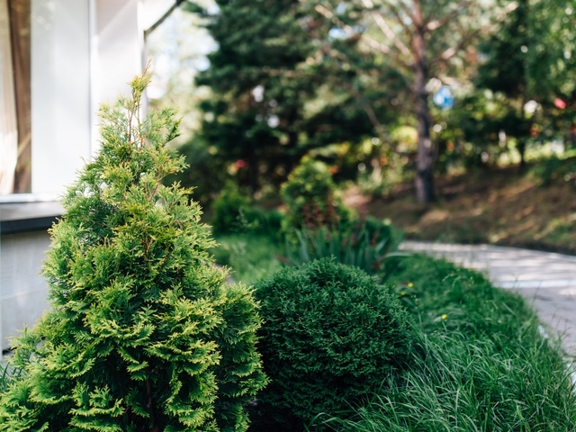 фото Sun Hotel (Солнце Отель) изображение №34