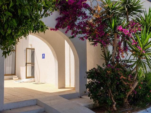 фото Amore изображение №2