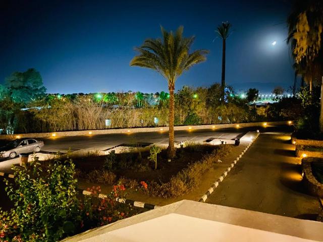 фотографии отеля Domina Coral Bay Resort изображение №251