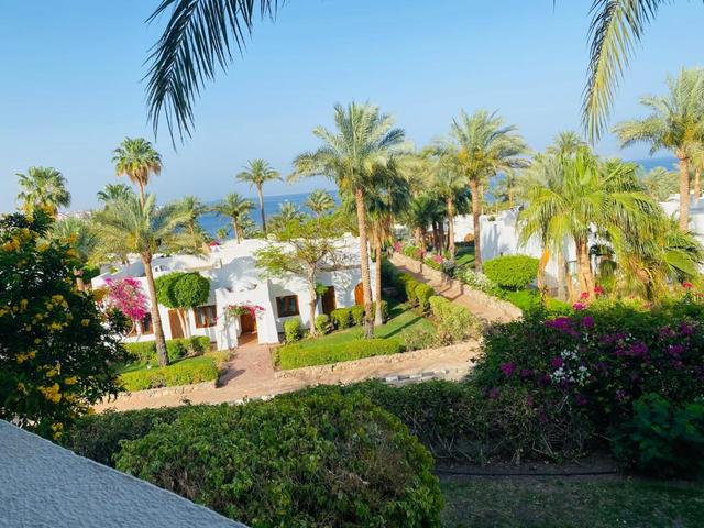 фото отеля Domina Coral Bay Resort изображение №221