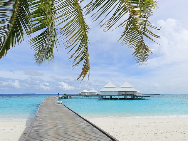 фотографии Diamonds Thudufushi Beach & Water Villas изображение №16